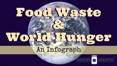 Food Waste & World Hunger (An Infograph) • Pantry Paratus