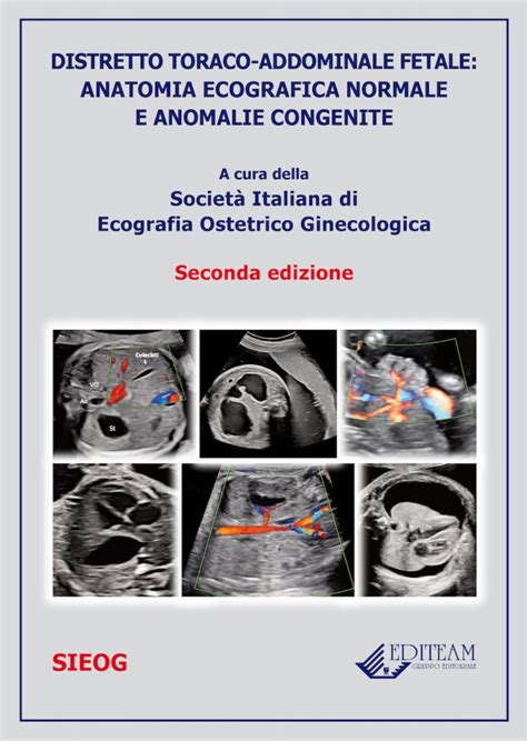 Distretto Toraco Addominale Fetale Anatomia Ecografica Normale E