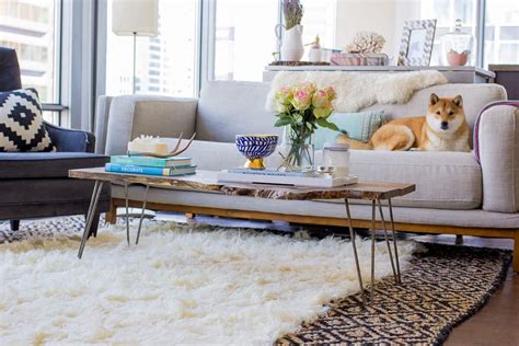 Living Room Rugs That Chicly Transform Your Space