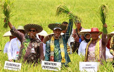 PERINGATAN HARI PANGAN SEDUNIA ANTARA Foto