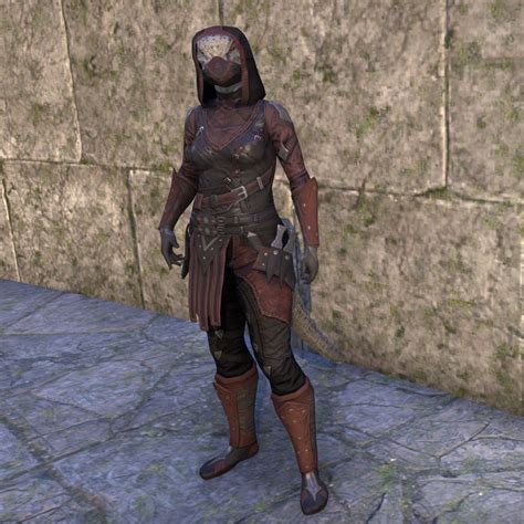 Elder Scrolls Online Assassin