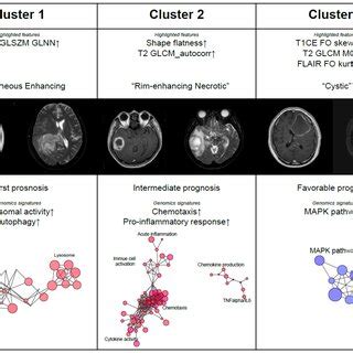 Radiomics Workflow The Feasibility Of Radiomics As An Imaging