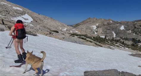 Went Full Hippy And Snowboarded Naked On The Summer Solstice R Snowboarding
