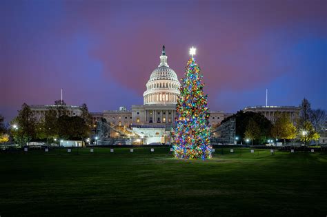 Capitol Christmas Tree Architect Of The Capitol