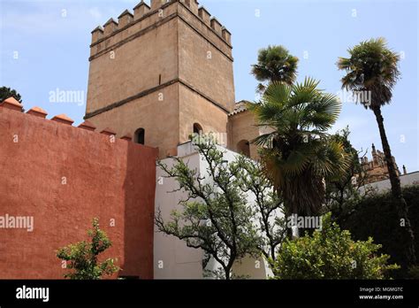 Royal Alcazar palace gardens, Seville, Andalucia, Europe Stock Photo - Alamy