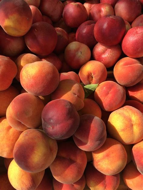 A Pile Of Peaches Sitting Next To Each Other