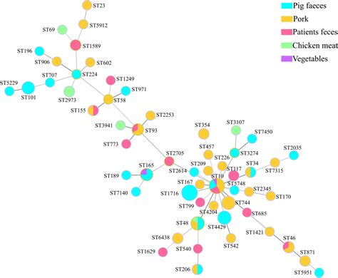 Prevalence And Genomic Characteristics Of Mcr Positive Escherichia Coli