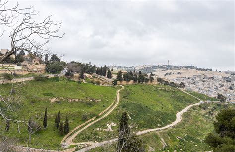 The Miraculous Return Of The Red Heifer To Israel Nashville Christian