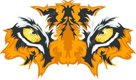 Tiger Eyes Mascot Graphic Cats Illustrations Predators Vector Cats