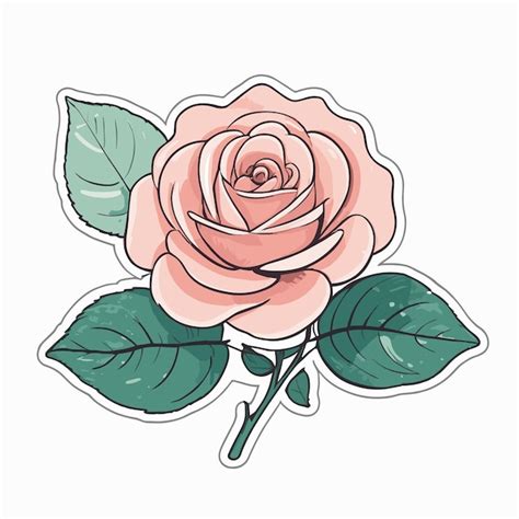 Premium Vector Pink Rose Sticker Design Clipart Illustration