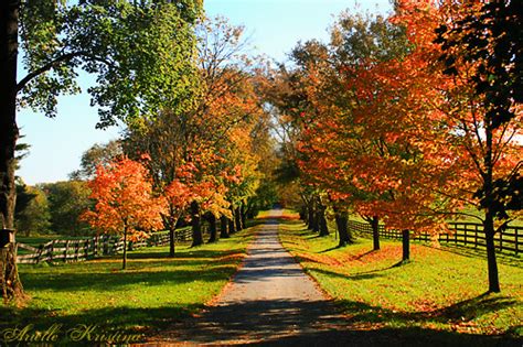 Autumn Road Chester County Ne932 Small Medium Large Flickr