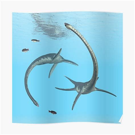 Plesiosaur Elasmosaurus Poster For Sale By MIRO3D Redbubble