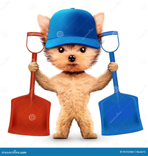 Funny Dog With Shovel Isolated On White Stock Illustration ...