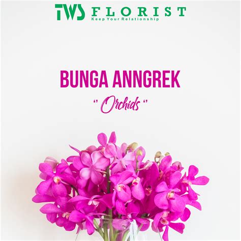 Bunga anggrek web – Toko Bunga Jakarta | Toko Bunga Online | TWS Florist