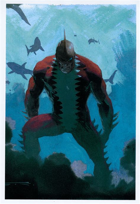 tiger shark drawing 4