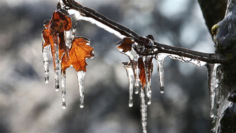 Crippling Ice Storm Forecast From Central U S To Mid Atlantic