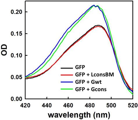 Nb-induced changes of GFP spectral properties. Absorption spectra of ...