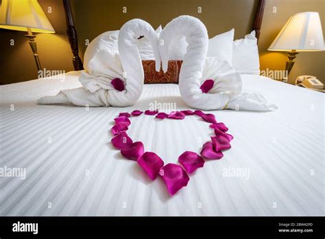 How To Decorate A Bedroom With Rose Petals Rose Petals Boyfriend