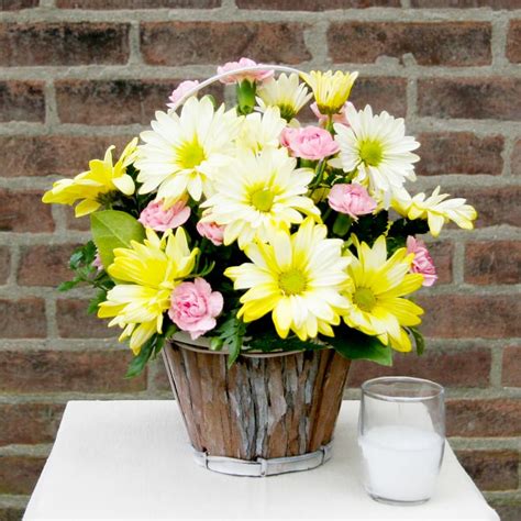 Spring Daisy Basket In Florissant Mo Dooleys Florist And Ts