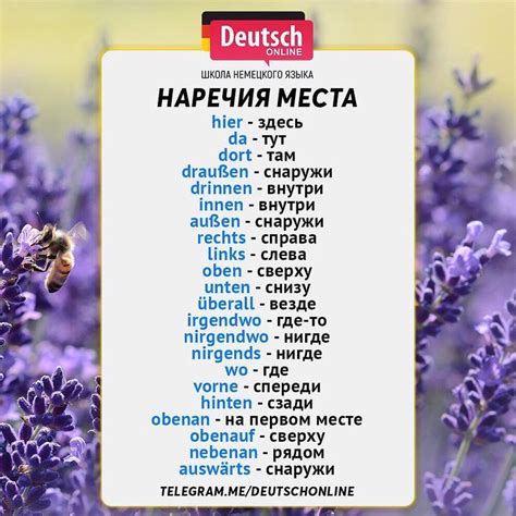 🇩🇪🎓У нас стартуют следующие 5 онлайн курсов и отдельные семинары! В ...