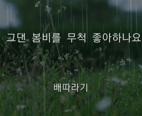 배따라기 그댄 봄비를 무척 좋아하나요 가사 듣기 악보 Mr