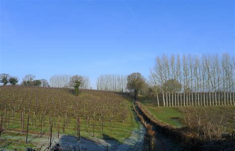 Orchard On The Hill Above Newton Tim Heaton Geograph Britain