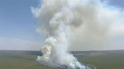 Incêndio De Grandes Proporções Atinge O Parque Nacional De Brasília