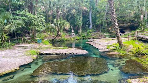 Beat The Florida Heat At These Freshwater Springs Regal Oaks