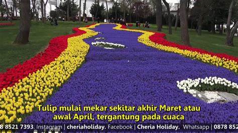 Meriahnya Festival Tulip Di Istanbul Turki Wisata Halal Cheria