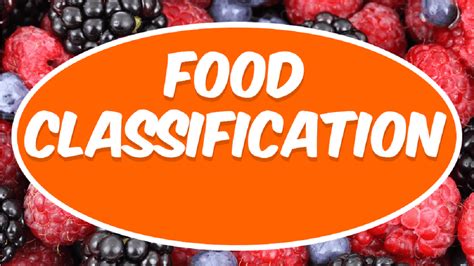 Food Classification A Guide To Understanding The Different Types Of