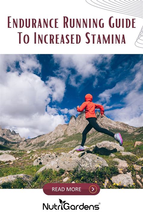 Endurance Running Guide To Increased Stamina Artofit