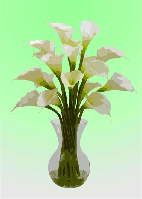 Flower Vase Poster Picture Metal Print Paint By Wilson De Villa