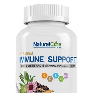 Amazon.com: Natural Cure Labs L-Lysine + Monolaurin 600mg 1:1 Ratio ...