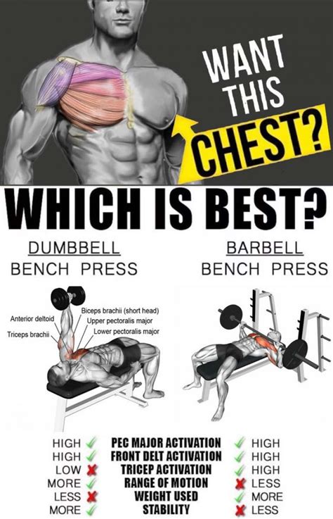 How To Do Barbell Press Vs Dumbbell Press Tips