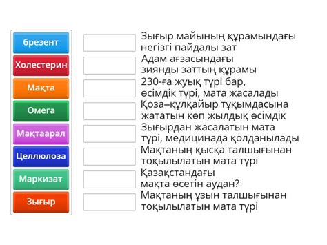 Кроссворд жаңа сабақ - Сопоставить