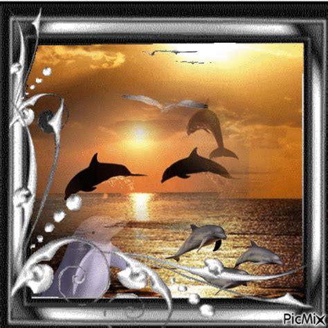 Delfines Free Animated Picmix