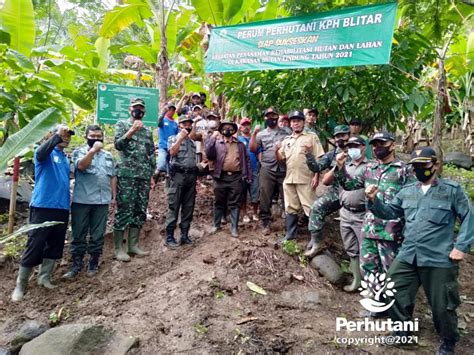 Perhutani Perhutani Bersama Koramil Wates Blitar Tanam Pohon Di