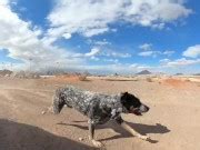 A Day In The Life Of A Pornstar Porn Vlog Fucking In Las Vegas Xxx Mobile Porno Videos