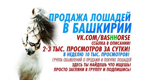 ПРОДАЖА / ПОКУПКА ЛОШАДЕЙ В БАШКИРИИ - YouTube