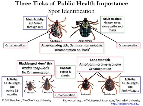 2017 Northeast Ohio Tick Epidemic Portage Turf Specialists