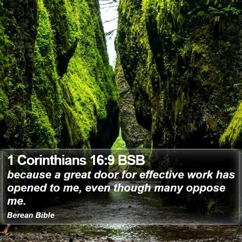 1 Corinthians 16:9 BSB - because a great door for effective work has