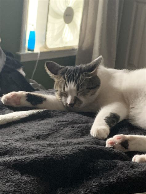 Safe landings : r/airplaneears