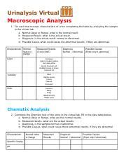 Urinalysis Virtual Lab Docx Urinalysis Virtual Lab Macroscopic