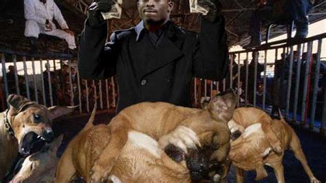 Michael Vick Indicted On Dogfighting Charges