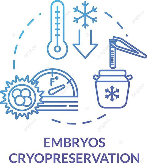 Concept Icon For Embryos Cryopreservation And Infertility Treatment