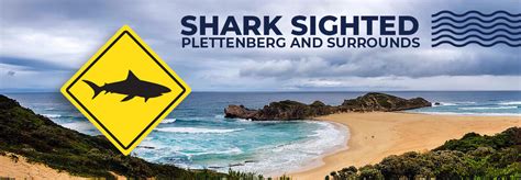 Cape Town woman dies after shark attack at Plett – St Francis Chronicle