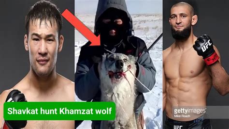 Shavkat Rakhmonov Send A Dead Wolf To Khamzat Chimaev Youtube