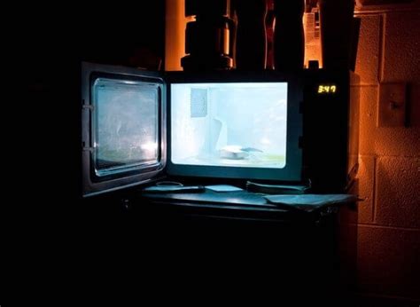 What Are The Things You Should Never Put In The Microwave? - Microwave ...