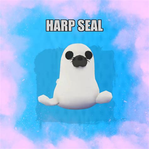 Harp Seal No Potion Adopt Me