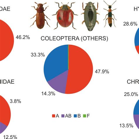 Shares Of Beetles Infected By Wolbachia Supergroups A B F Beetle